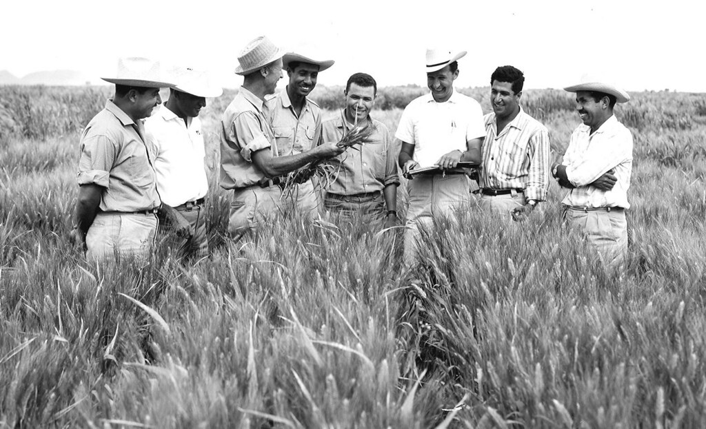 Norman Borlaug and some other people